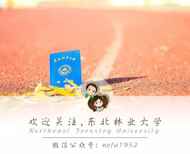 权威发布 | 东北林业大学2019年高校专项计划招生简章