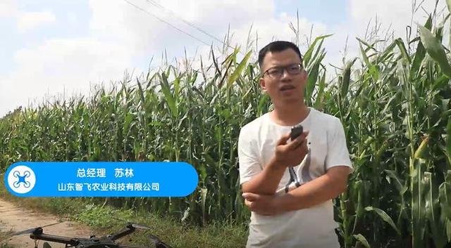 探访一线飞防作业者苏林：植保无人机市场本地化是趋势