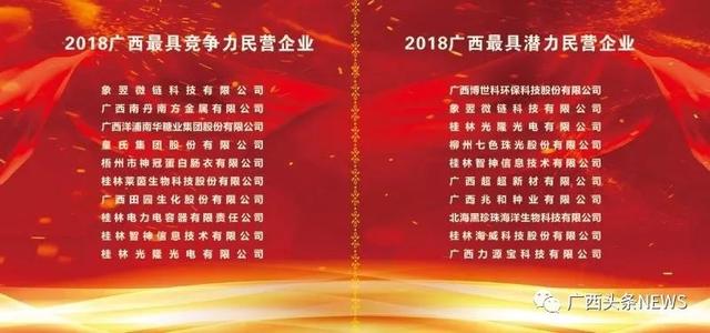 2018广西民营企业100强出炉！你们公司上榜了吗？