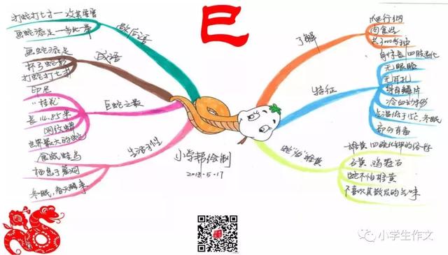 12生肖成语诗句和手绘思维导图！