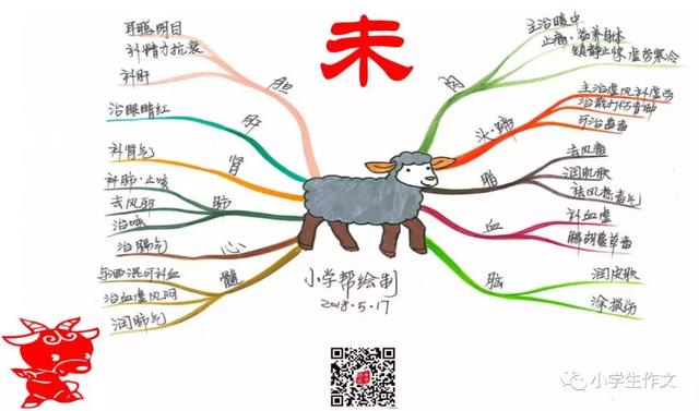 12生肖成语诗句和手绘思维导图！