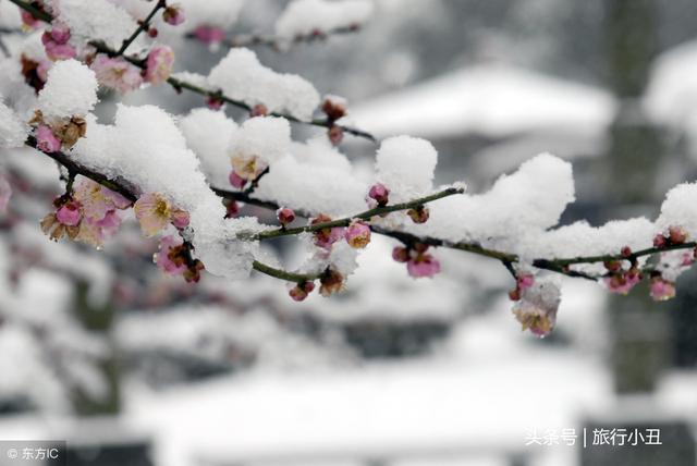 北岳主峰大茂山｜登高怀古揽秋色