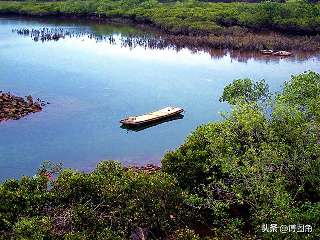 广西摄影旅游指南（16）：北仑河口，中越边境，有大片的红树林