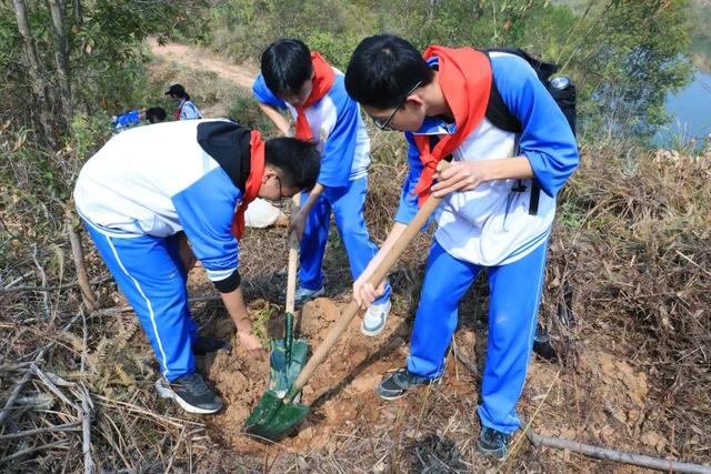 春风十里，共“植”有你！肇庆师生植树添绿忙~