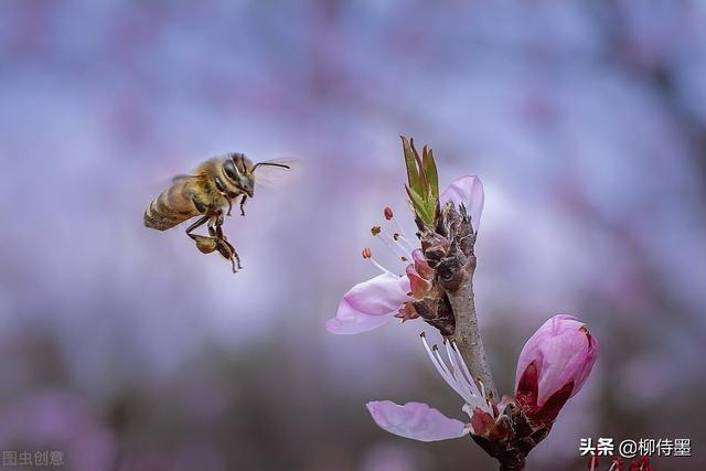 点评19张照片，6个拍摄失误要避免，9个摄影技巧记心间