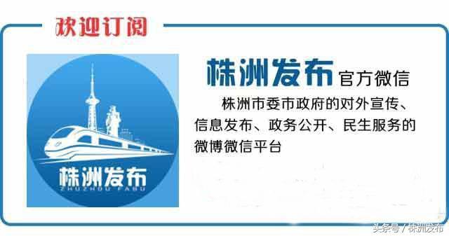 中南大学、湖南大学、湖师大，今年计划自主招生770人