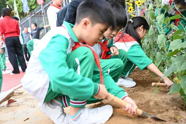 春风十里，共“植”有你！肇庆师生植树添绿忙~