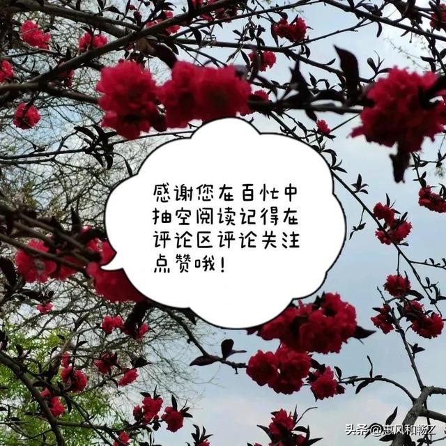 无可奈何花落去，似曾相识燕归来