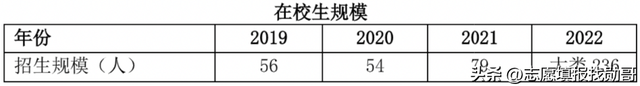 青岛大学这个专业的升学率，75%！