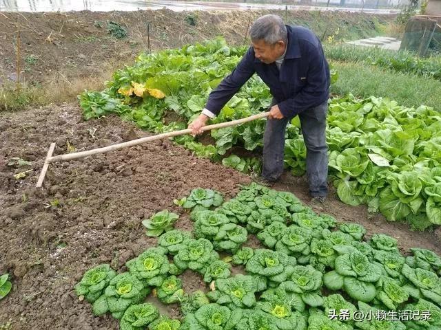 我广东人，28岁今年，在广州黄埔年收入3000万，现在广州买车了