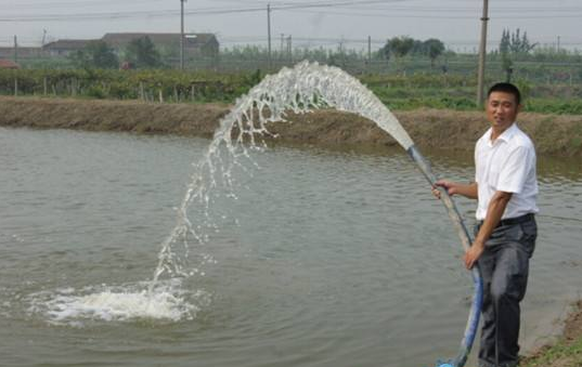 热议：虾塘抽进井水后，水发黑是什么原因？