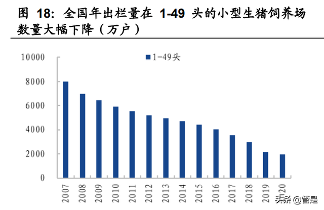 双汇发展深度研究：产业链优势突出，竞争地位稳固，盈利拐点显现