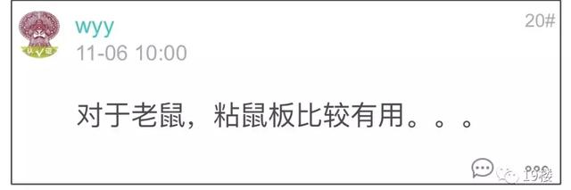 “我没本事租一个月几万的房子？”杭州一姑娘遇史上最艰辛租房史