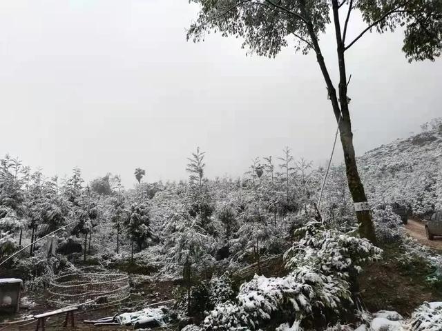 立冬日，北方大雪后美轮美奂，西双版纳依然艳阳高照