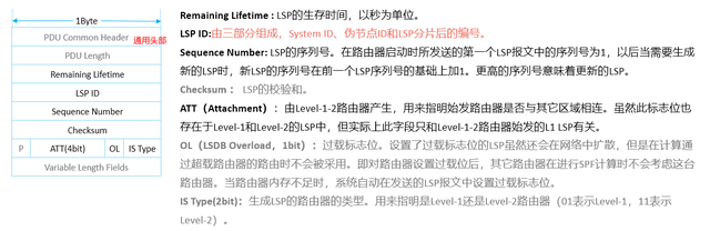 2.2.0 ISIS 4种报文类型IIH、LSP、CSNP、PSNP、邻居建立过程