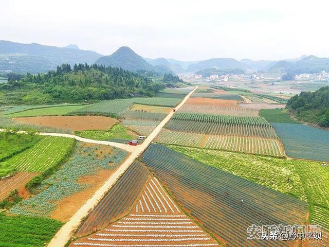 平坝区：写好“三产融合”文章 推进农业高质量发展