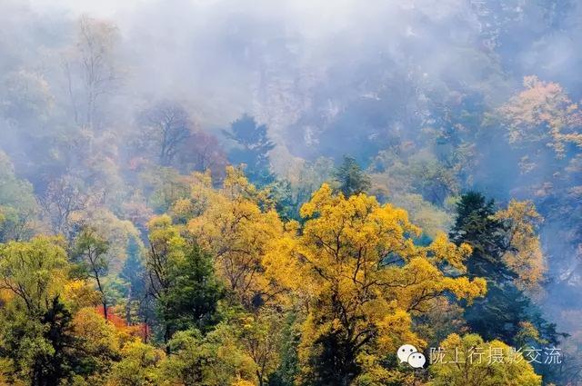 陇南风光 | 你好官鹅沟，我与你在秋天有个约定！