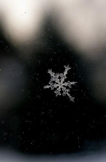 雪花美甲，冬日指尖的舞动精灵