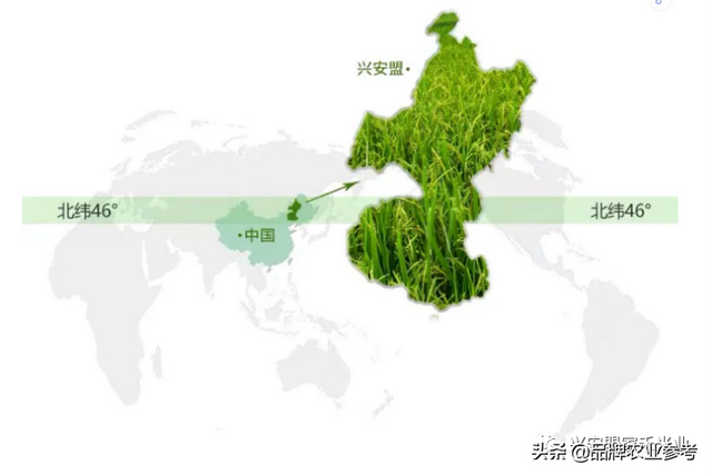 与消费者一起，回溯大米核心价值 |兴安家禾×农参新作