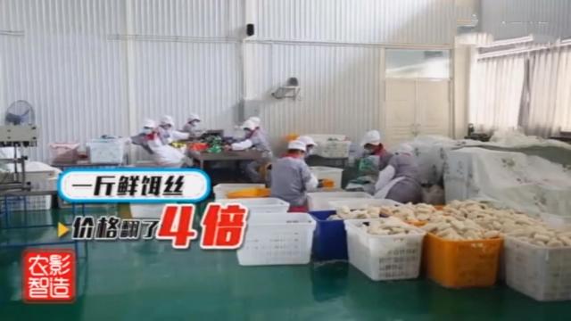 云南下岗男子吃饭时发现商机，6万创业，8年后年入千万