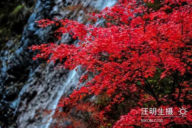 陇南风光 | 你好官鹅沟，我与你在秋天有个约定！