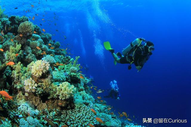 乘风破浪的马尔代夫，蜜月必去的海底别墅，小情侣们都懂得