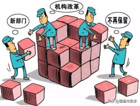 机构改革建议