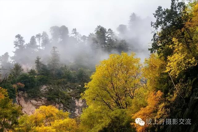 陇南风光 | 你好官鹅沟，我与你在秋天有个约定！