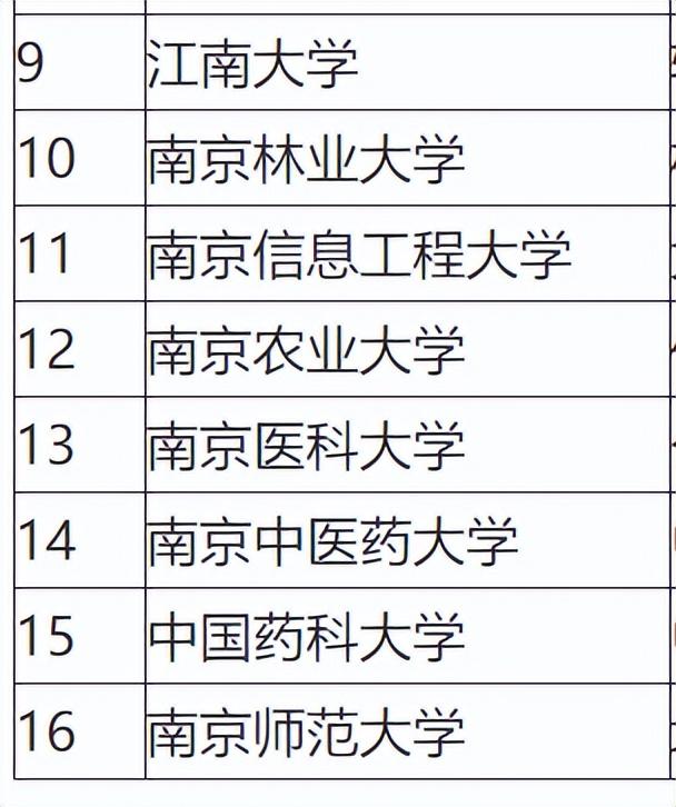 被称为最强四非院校的南京工业大学，为何再次与双一流失之交臂？