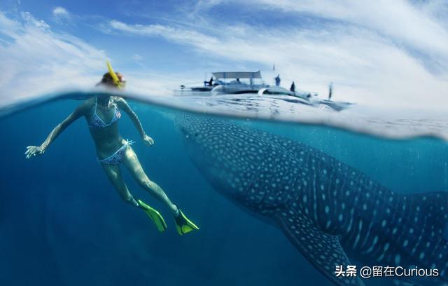 乘风破浪的马尔代夫，蜜月必去的海底别墅，小情侣们都懂得