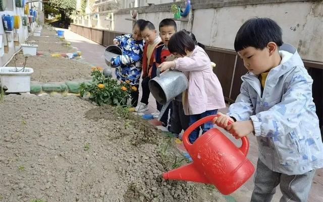 遇见春天，“植”此青绿