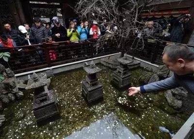 撒硬币许愿，转佛图求福，摸雕像消灾……花样百出的祈福法，你中过招吗？