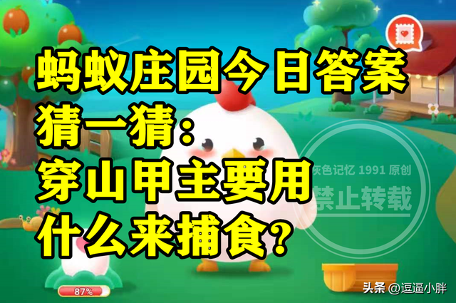 穿山甲主要用什么来捕食是牙齿还是舌头呢？蚂蚁庄园答案