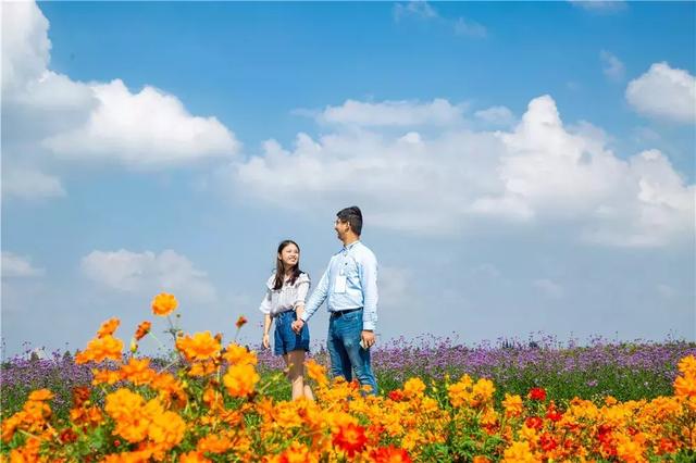 美味已送达！第十九届中国·高淳固城湖螃蟹节启幕