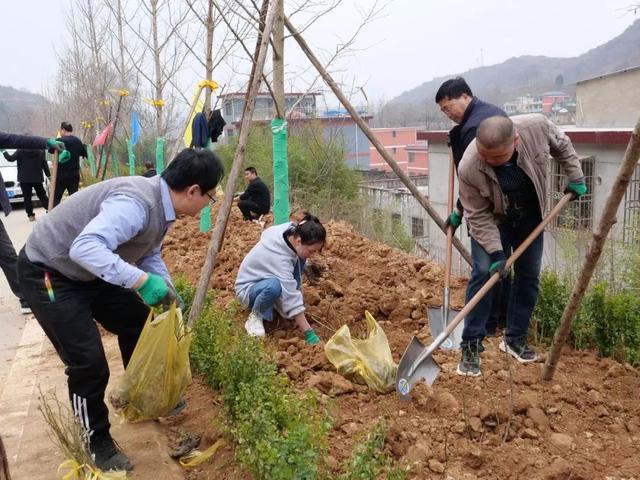 遇见春天，“植”此青绿