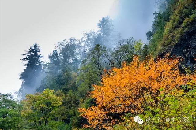 陇南风光 | 你好官鹅沟，我与你在秋天有个约定！