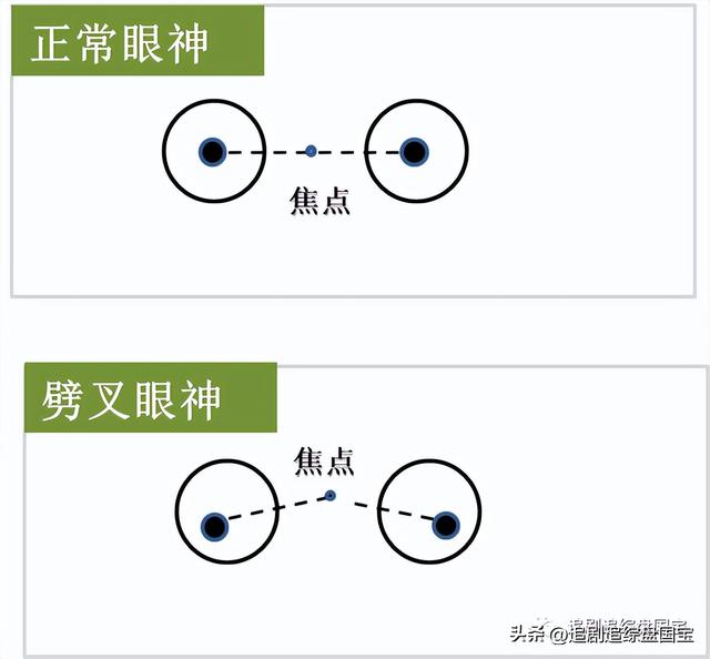 盘国宝系列之大熊猫和叶：哈？听说我很便宜？（上篇）