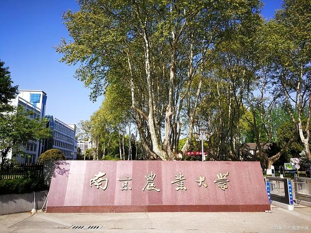 2023江苏高校排名公布，东南大学持续陪跑，河海大学南京农大遇冷