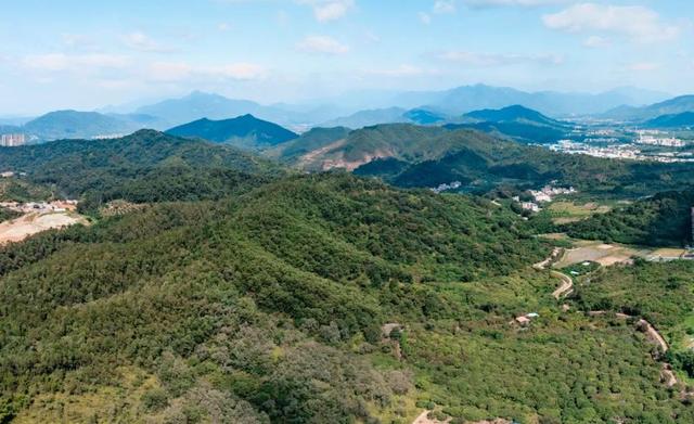 增城VS从化，教育洼地也有翻身机会