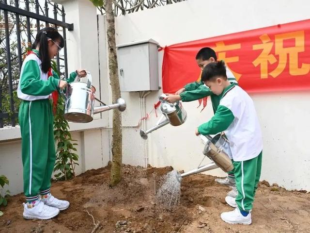 春风十里，共“植”有你！肇庆师生植树添绿忙~