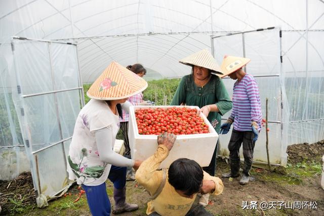 天门山镇扶贫脱坚