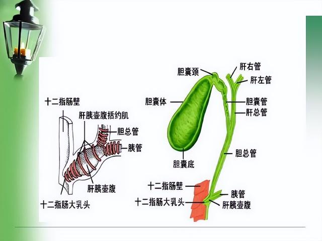 胆囊切除有啥后遗症？医生提醒：这3种后遗症较常见，能不切别切