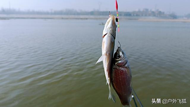 流水如何垂钓效果比较好？圈内不说的秘密在这里，快速提高上钩率