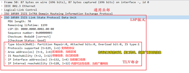 2.2.0 ISIS 4种报文类型IIH、LSP、CSNP、PSNP、邻居建立过程