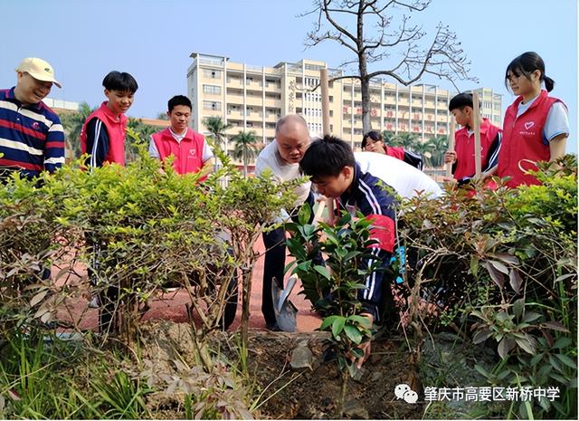 春风十里，共“植”有你！肇庆师生植树添绿忙~