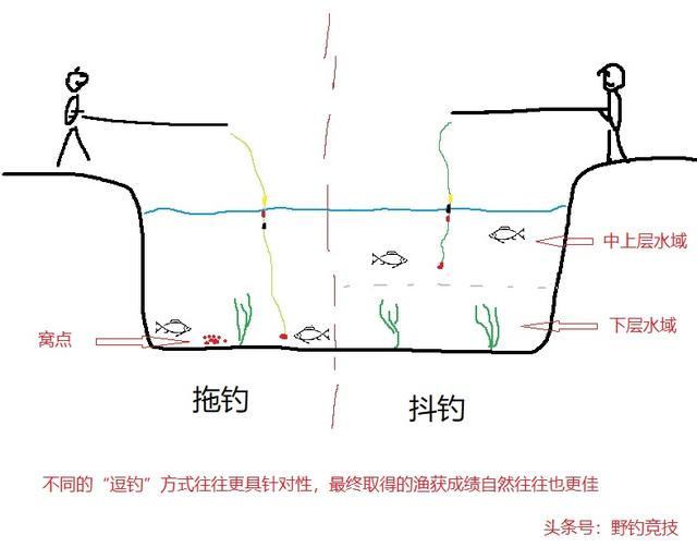 谷麦逗钓——颠覆传统野钓鲤鱼手法，深度解析其特点跟应用场景