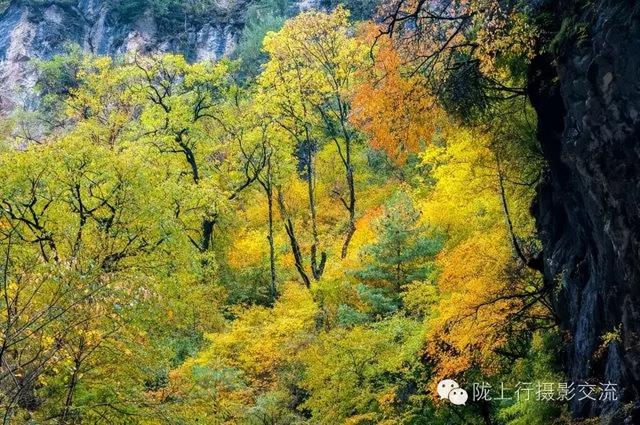 陇南风光 | 你好官鹅沟，我与你在秋天有个约定！