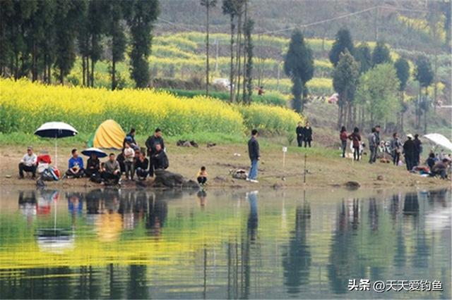 春季野钓，什么风向鱼口最好？经验告诉你是这2种