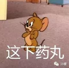 “我没本事租一个月几万的房子？”杭州一姑娘遇史上最艰辛租房史