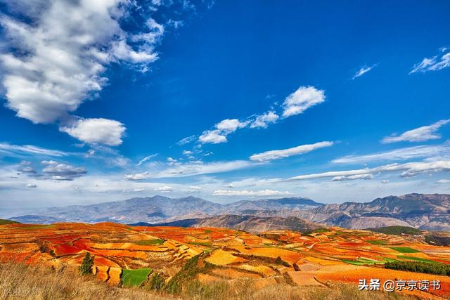 最高效的成长方式：读书、写作、运动